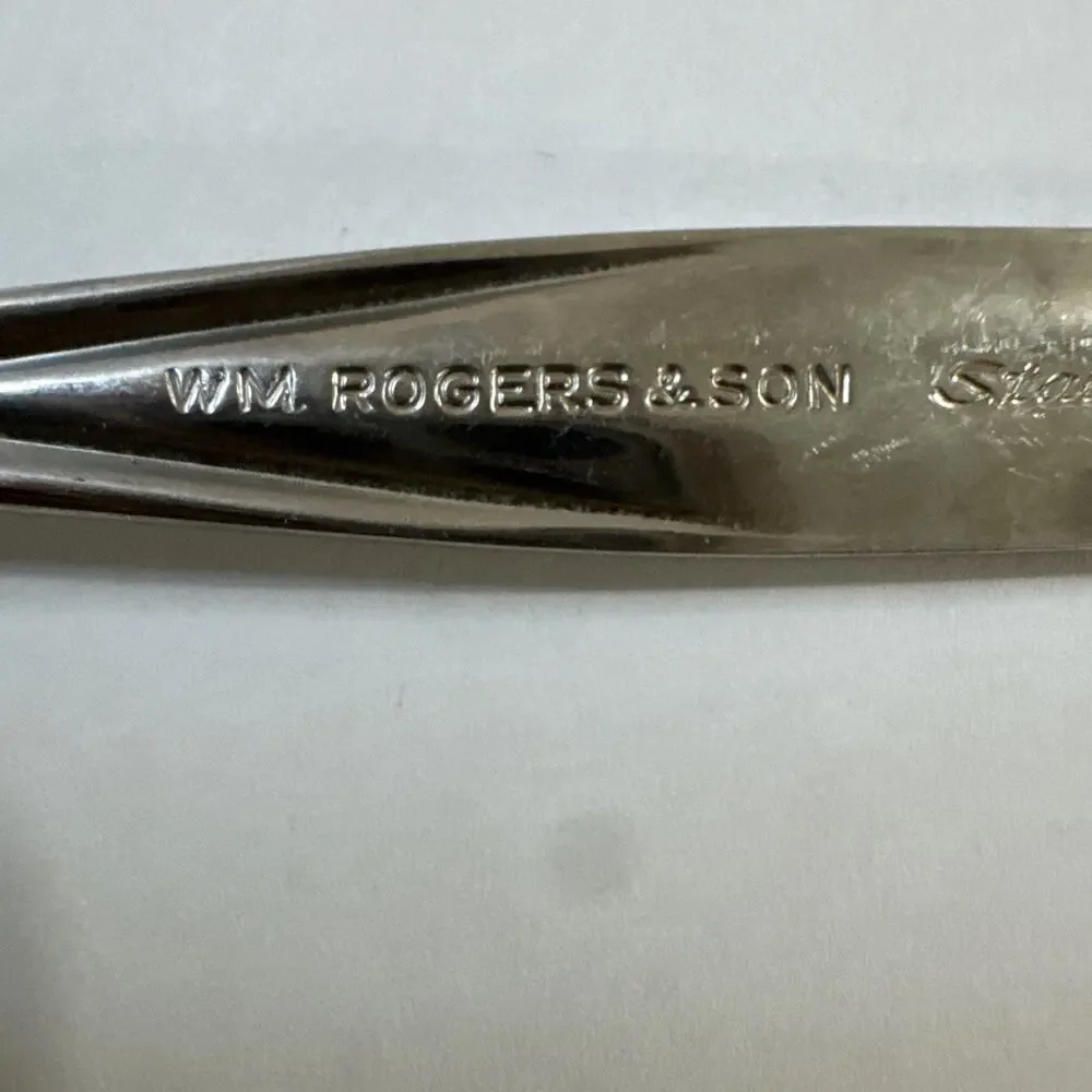 Pierced Serving Spoon  - International 1881 Rogers Concept Pattern Flatware